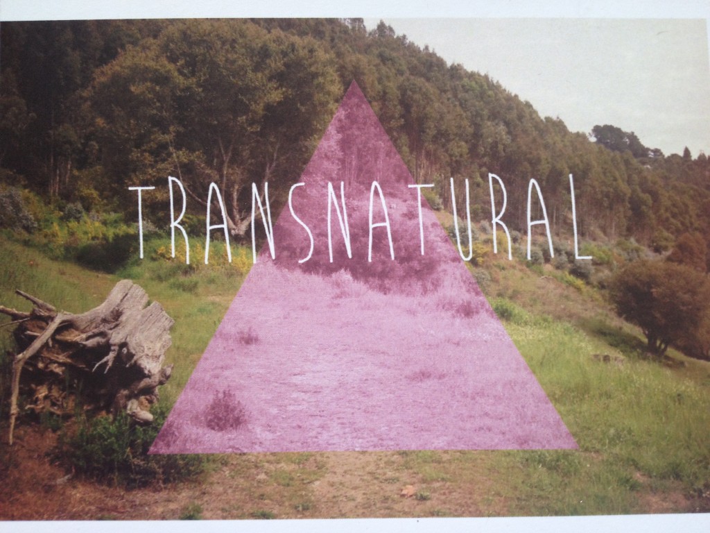 TransNatural Workshop